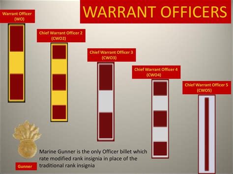 Marine Corps Warrant Officer Responsibilities